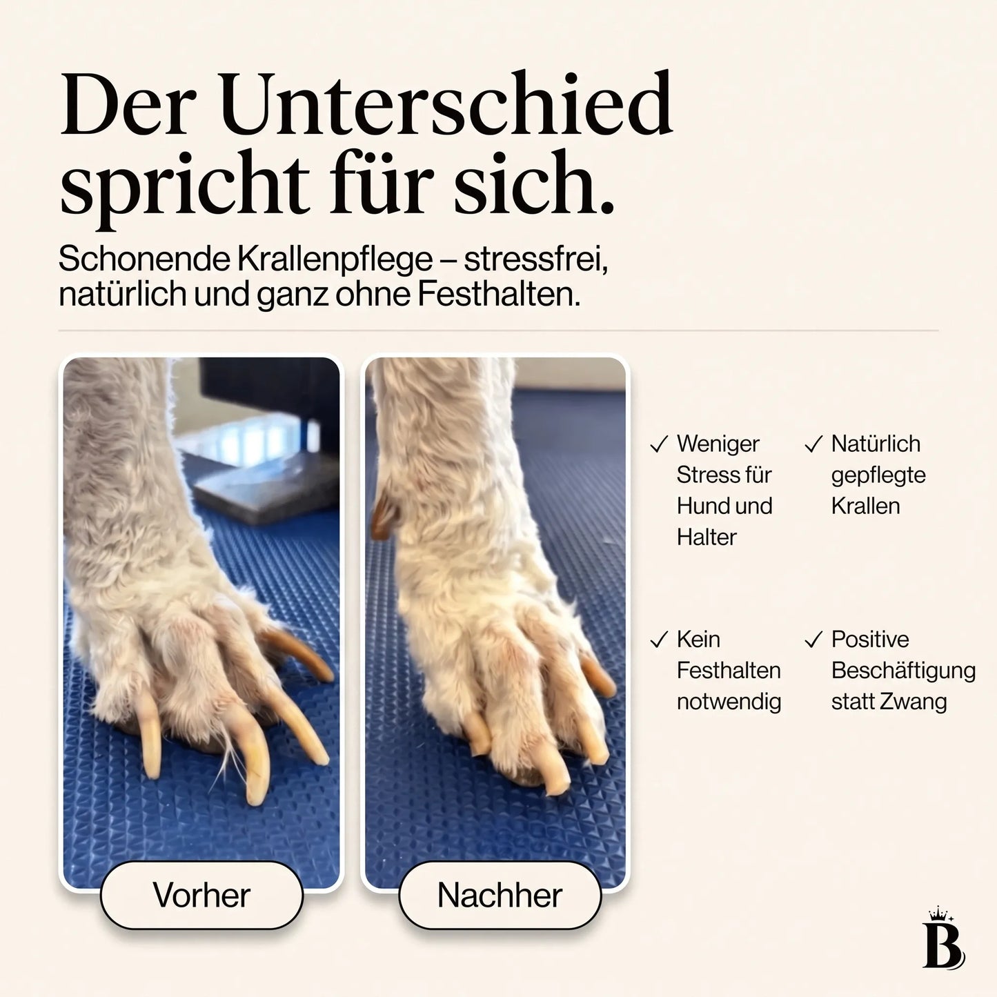 PawBoard™ | Stressfreie Krallenpflege für Hunde