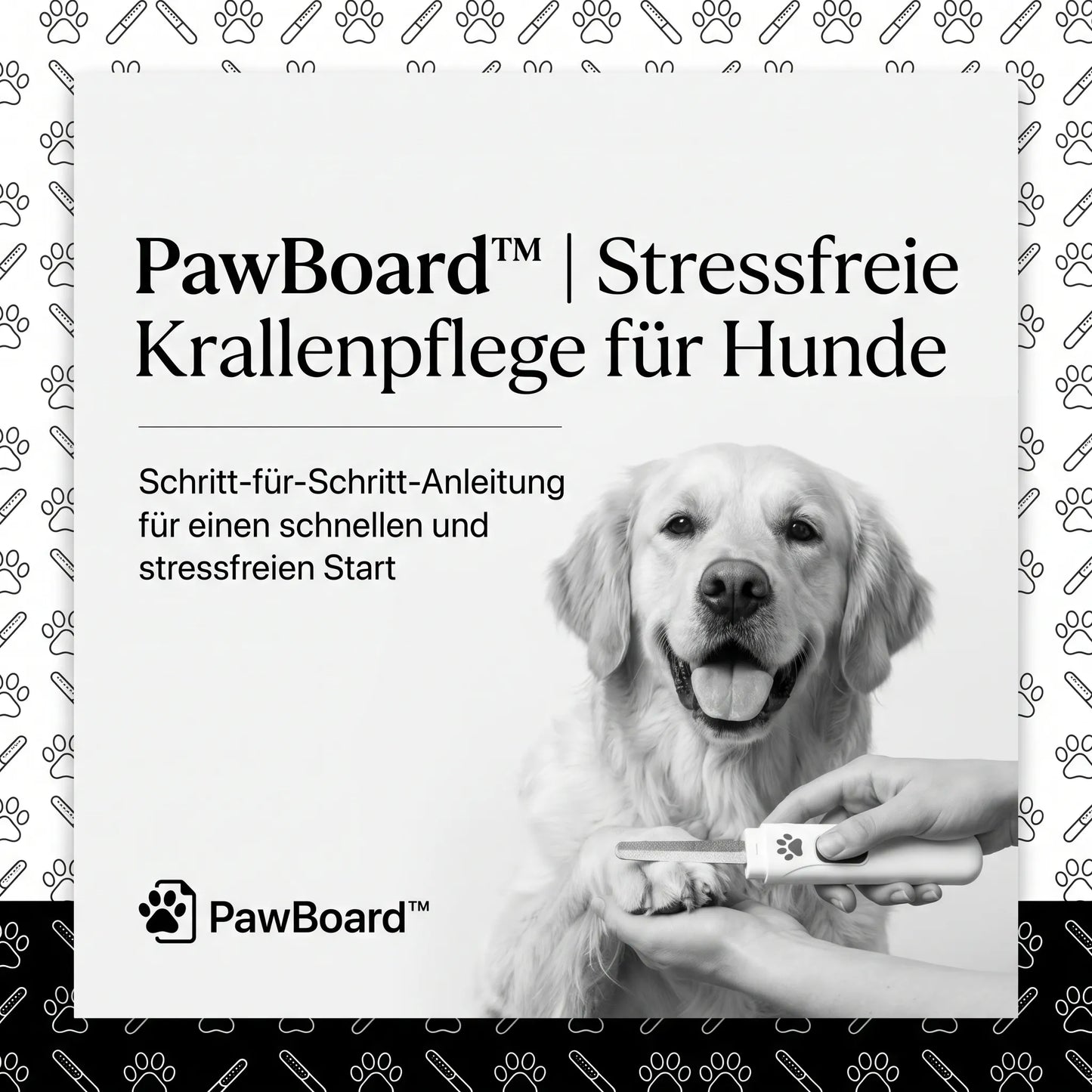 PawBoard Trainings-Guide