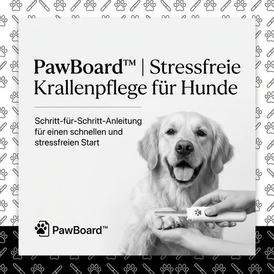 PawBoard Trainings-Guide